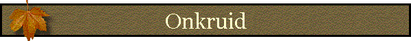 Onkruid